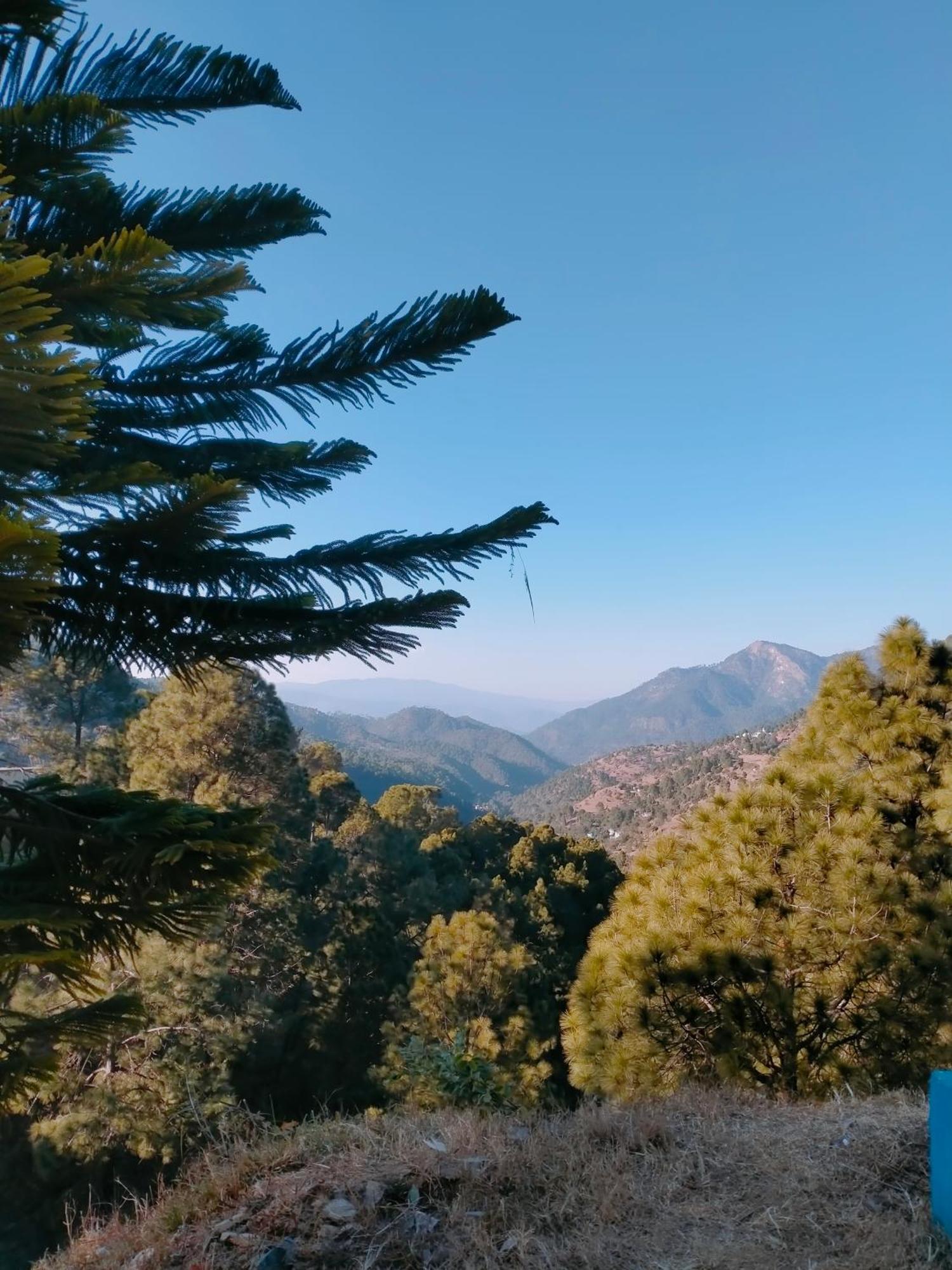 Shree Home Stay Dwarahat Exteriér fotografie